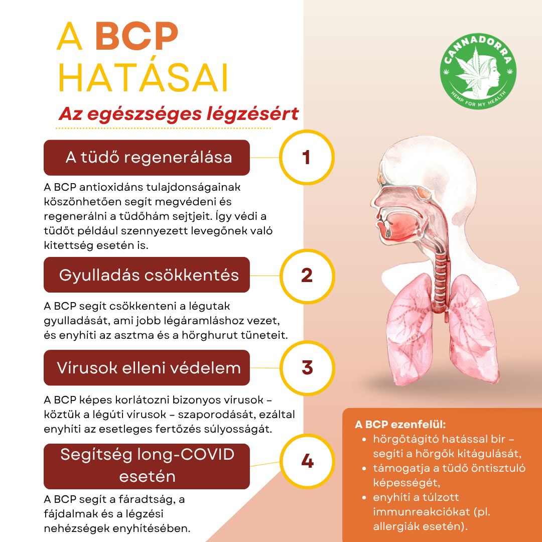 BCPplice - HU